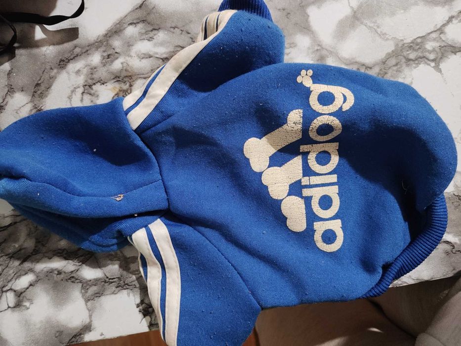 Roupa para cachorro