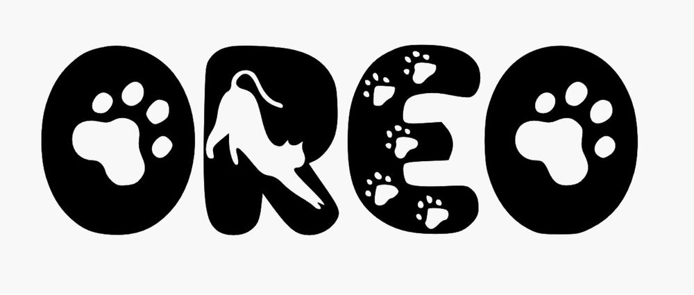 Conjunto de nome completo com letras de gatos
