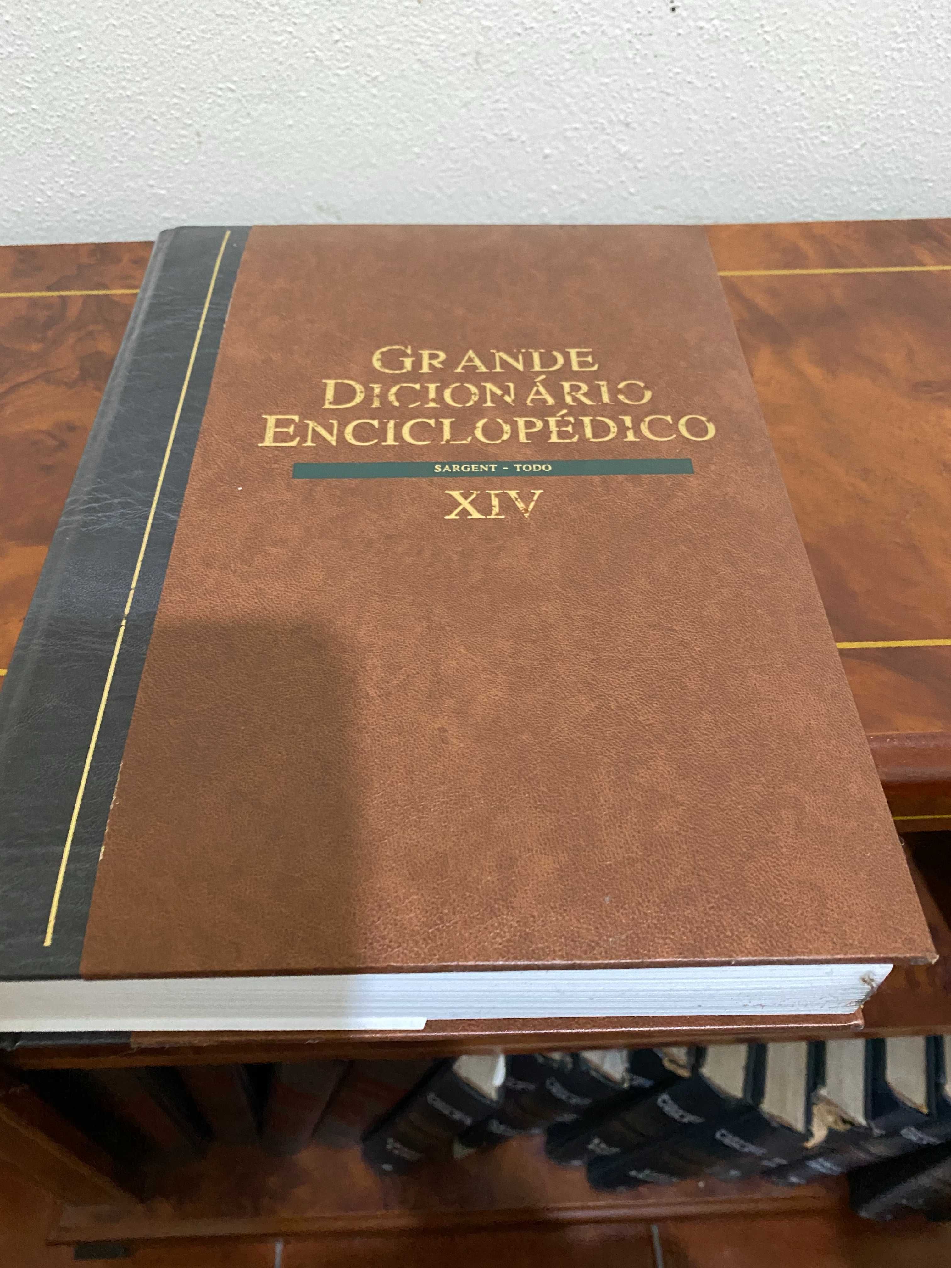 livro grande dicionario enciclopedico xiv
