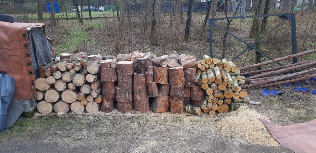 Drewno tanio sosna brzoza