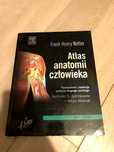 Atlas anatomii Nettera