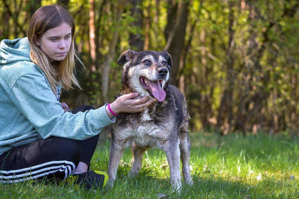 Daddy - towarzyski ze stabilnym charakterem