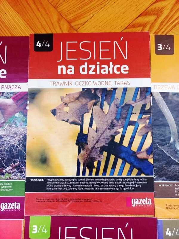 Jesień na działce, Jesień w ogrodzie - drzewa, krzewy i inne