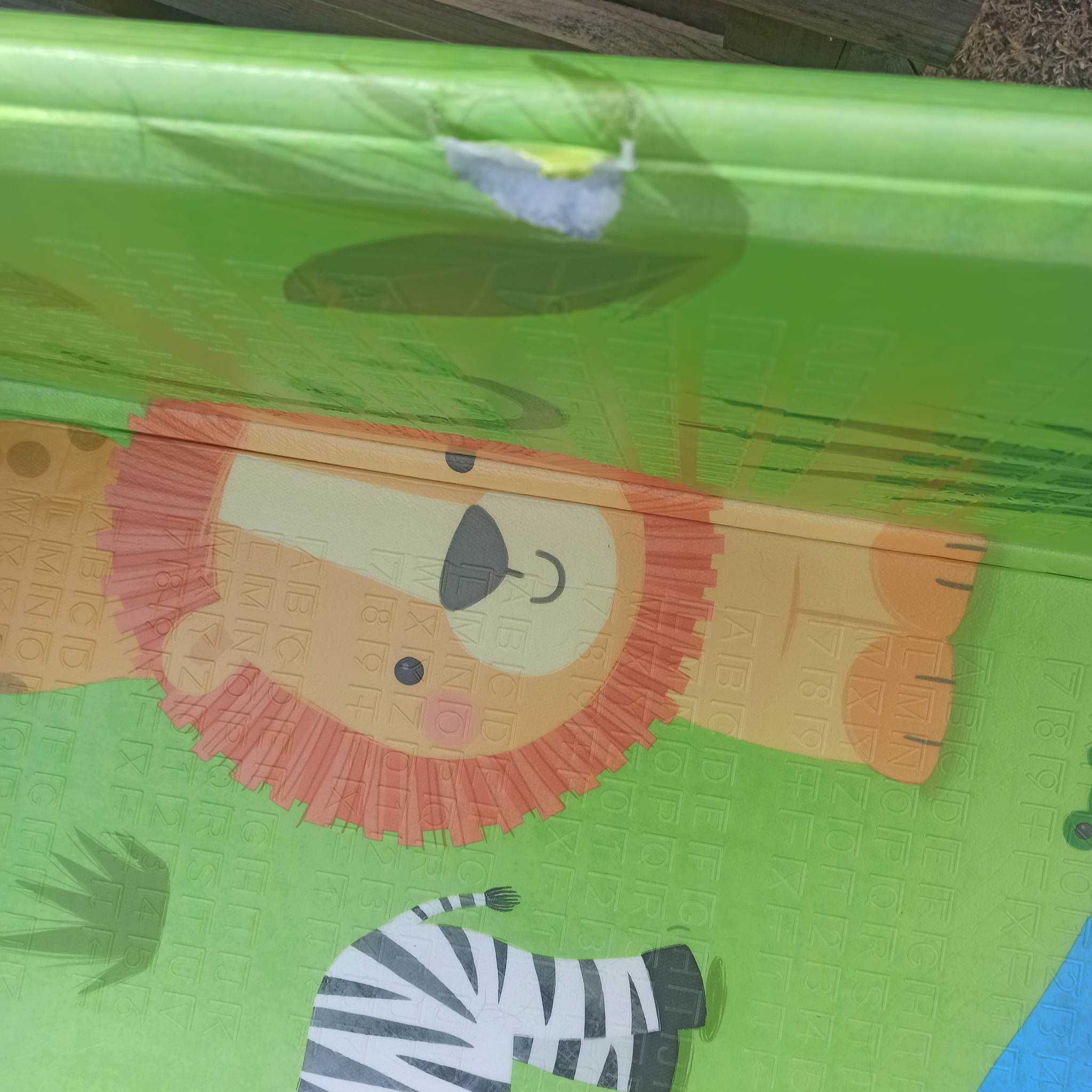 Lionelo Robby DUŻA DWUSTRONNA Mata Edukacyjna Dla Dzieci