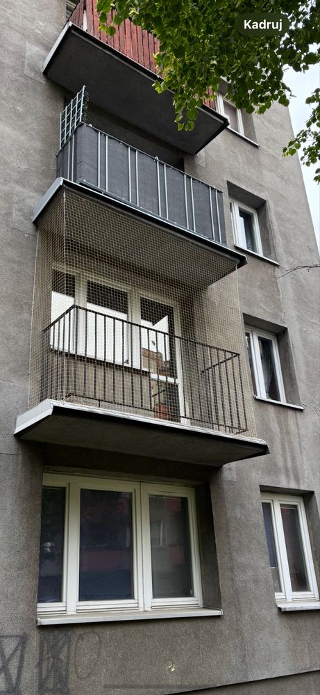 Siatka dla kota, siatka przeciw ptakom, któtkie TERMINY