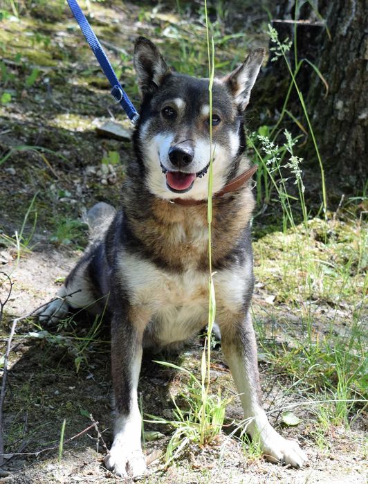 17 letni Pimpek - czy zdąży do domu ?