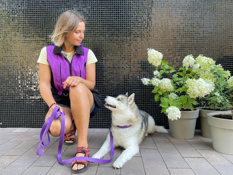 Кінолог Дресирування Собак