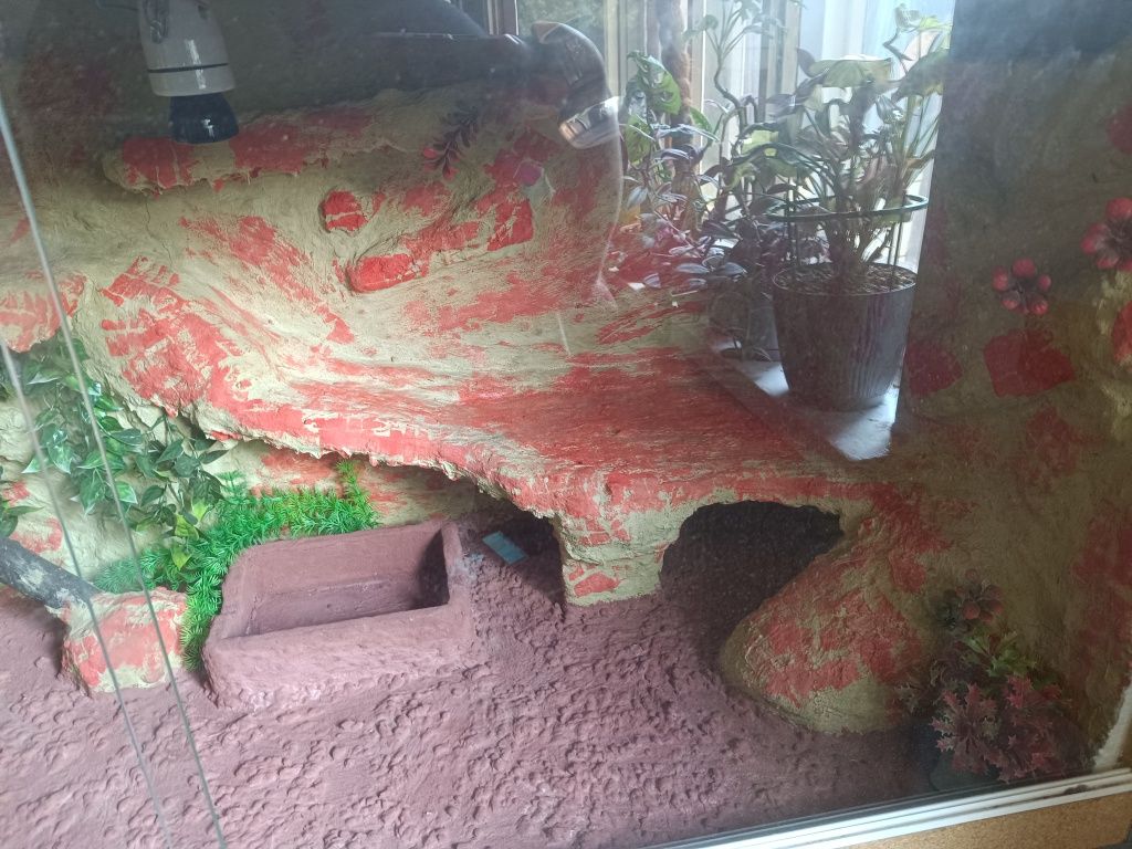 !Mega! Terrarium