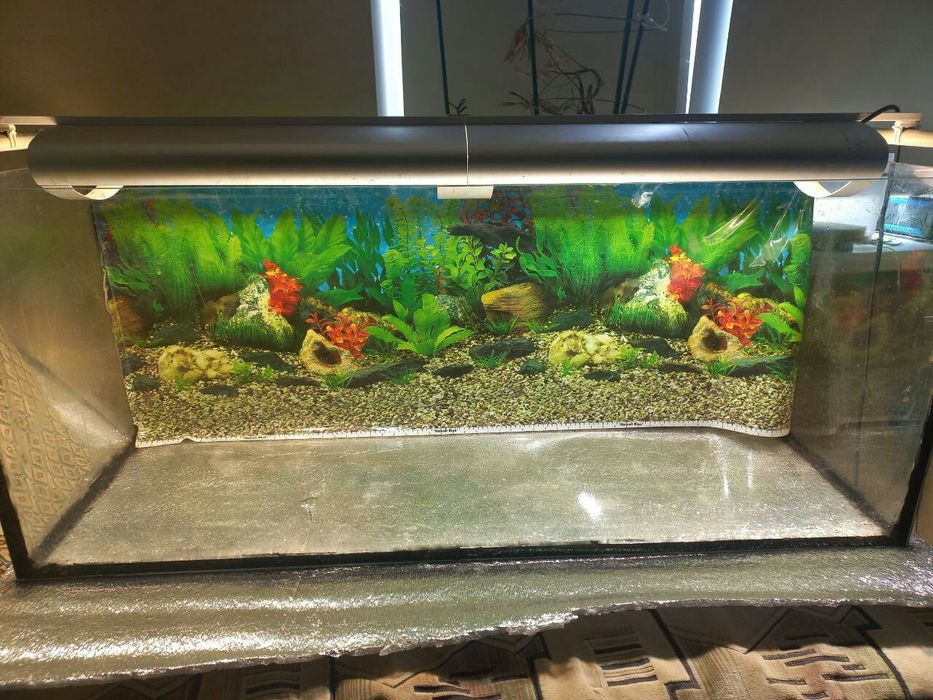 Аквариум на 200 л