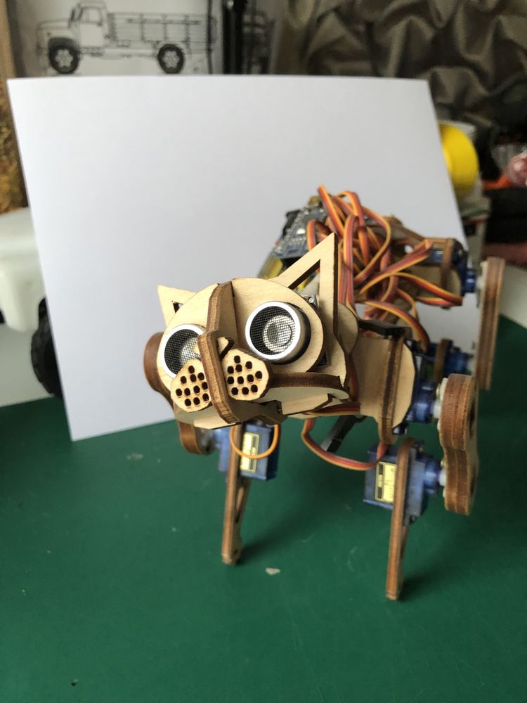 Robot Arduino Cat