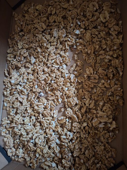 Orzechy włoskie suche ręcznie łuskane 3kg