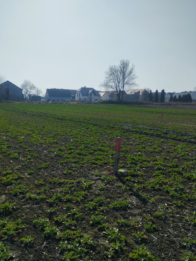 Działka/działki budowlane dolnyślask Lusina-Strzegom