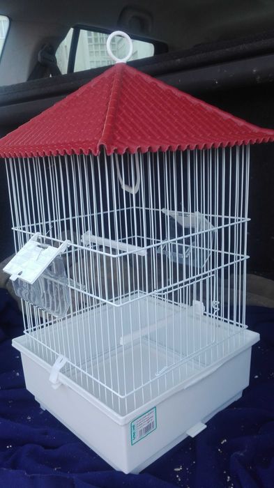 Vendo caturras  cinzentas