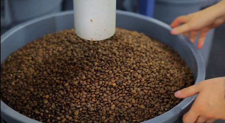 Лучше цены на премиум кофе в зернах свежей обжарки НЕТ! зернова Кава