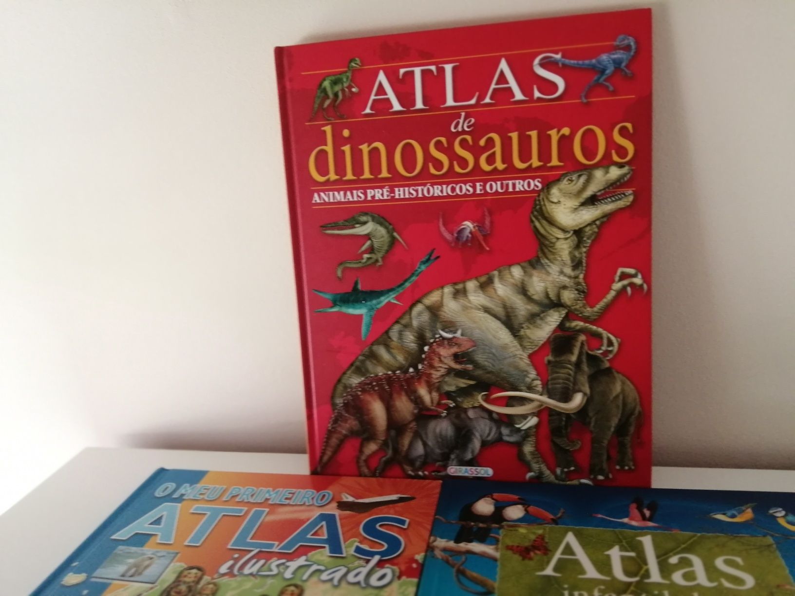 Livros Atlas infantil
