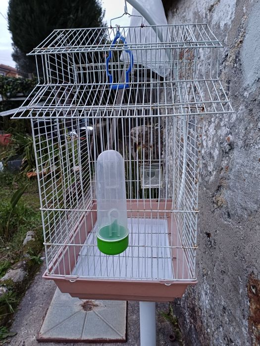 Conjunto de gaiola e pé