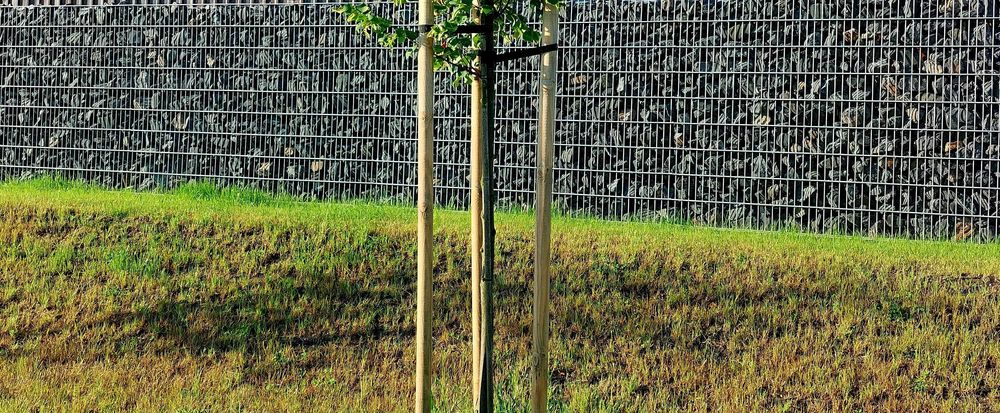 Kamień do koszy gabionowych Gabion Kosz Ogrodzenie Bazalt Czarny