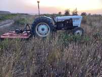 Trabalho agricolas