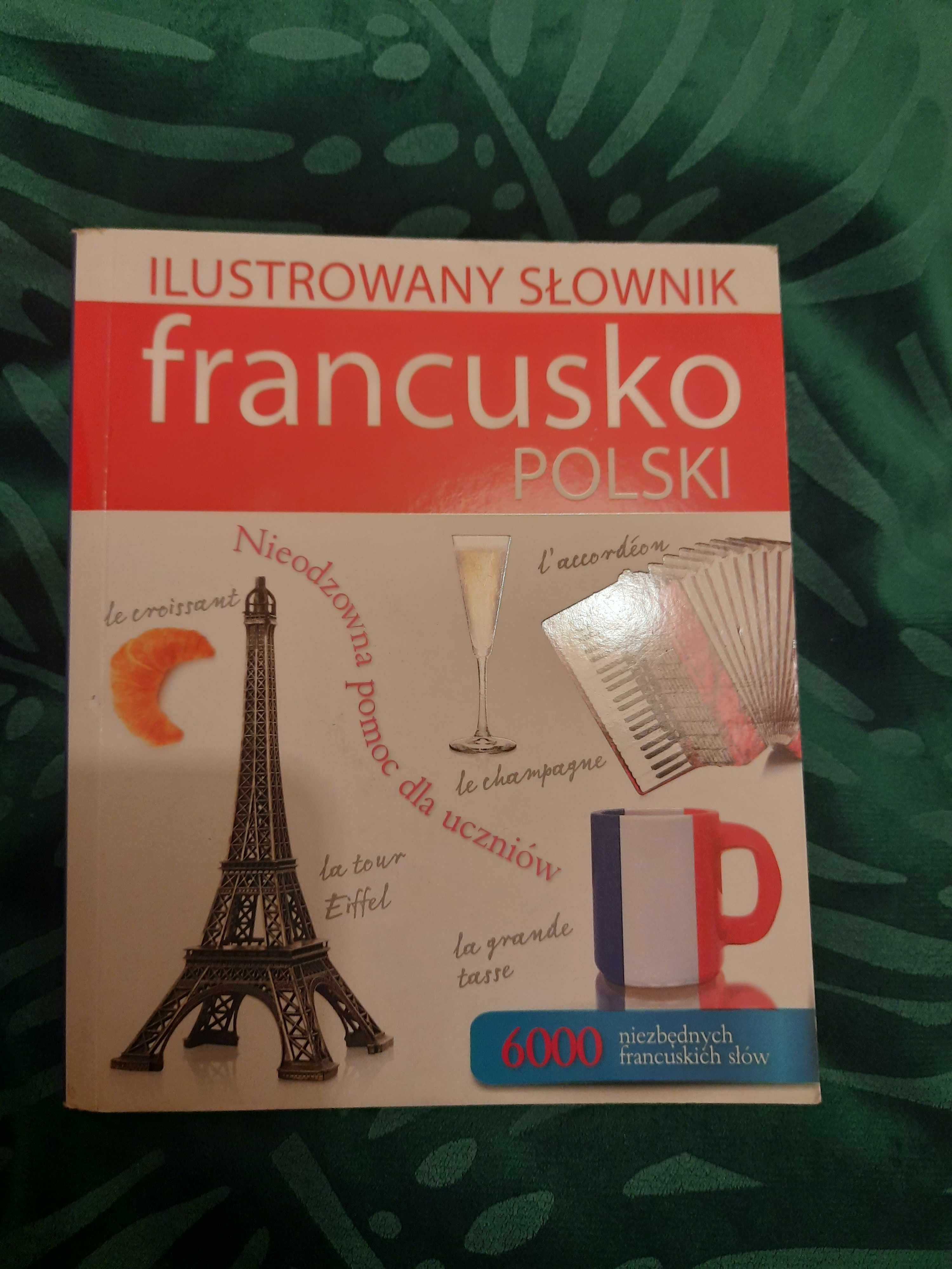 Ilustrowany slownik polsko-francuski