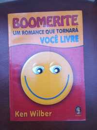 Boomerite - Ken Wilber