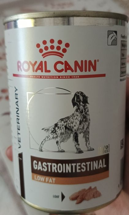 Karma mokra Royal Canin Gastroinstentinal LowFat