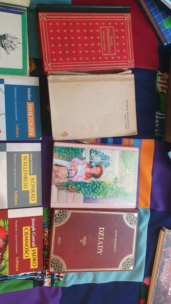 Lektury szkolne dobry stan