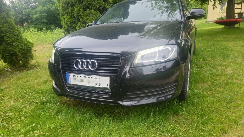 Audi A3 8P 2.0 TDI