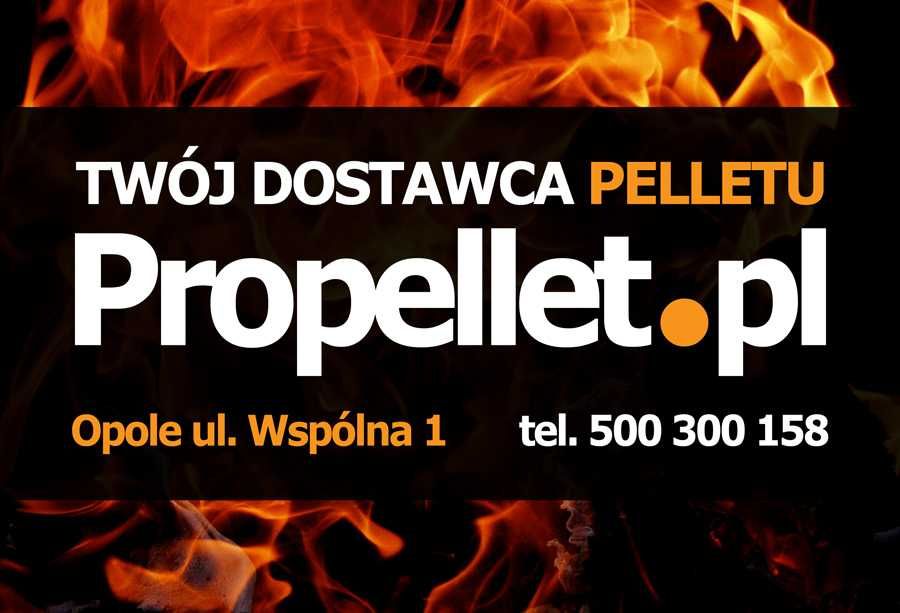 Pellet Task 6mm Propellet24 Opolskie