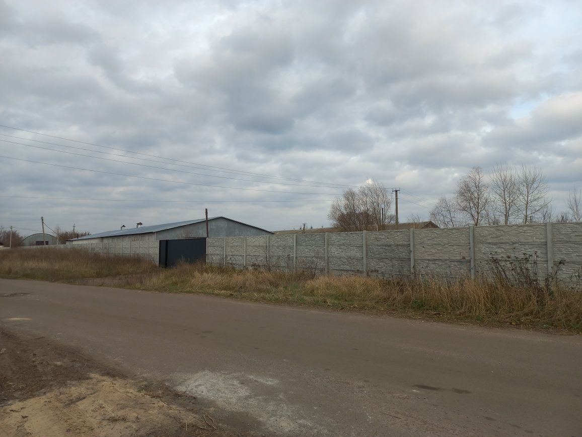 Продам виробниче приміщення в с.Количівка 8км від Чернігова