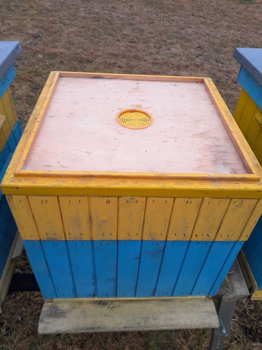 ul DADANT leżak stojak odkładowy styropianowy drewniany pokazowy