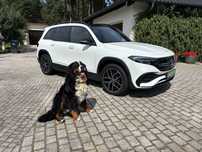 Mercedes-Benz EQB MERCEDES-BENZ EQB 350 4matic SALON PL bezwypadkowy stan jak NOWY