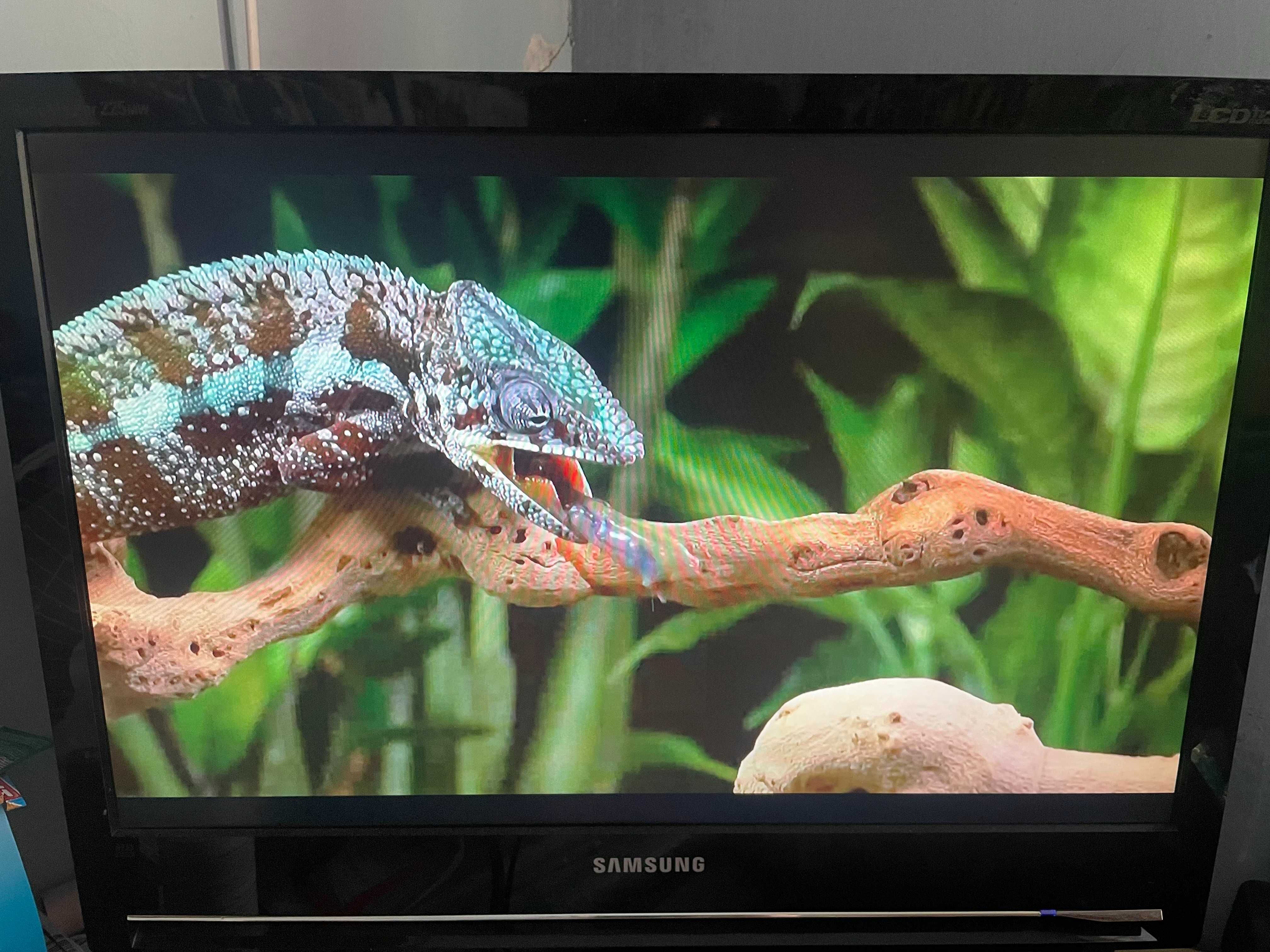 Качественный монитор Samsung 225 22", 5 мс, DVI VGA HDMI колонки пульт
