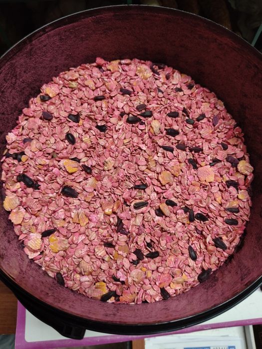 Trutka na gryzonie VENIM mix 2.5kg