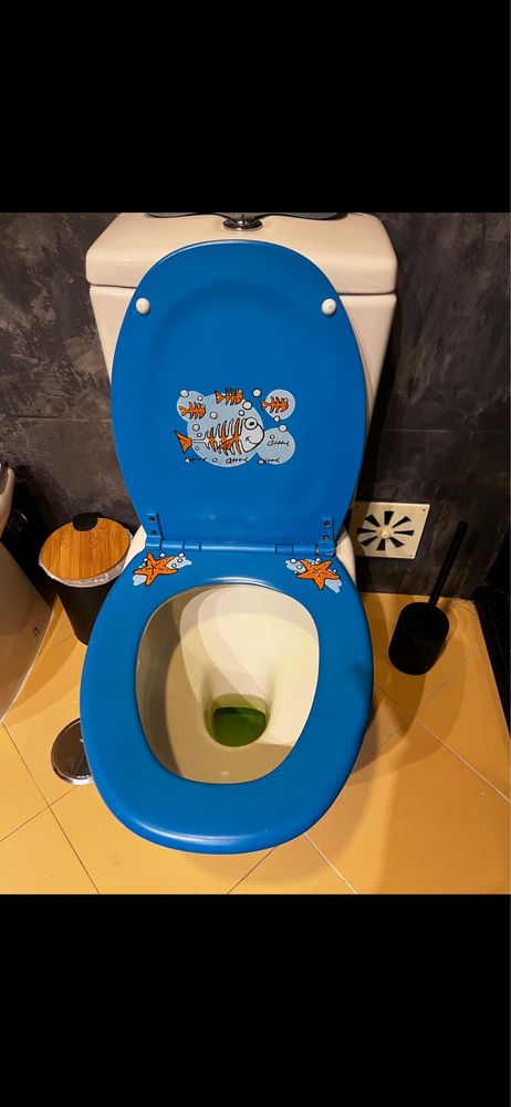 Tampa de sanita