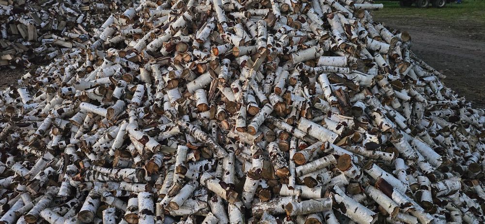 Drewno oałowe brzoza sezonowana, cięta na 20cm