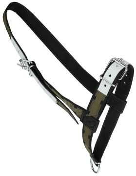 Kantar dla bydła Profi, zielony, z okuciami