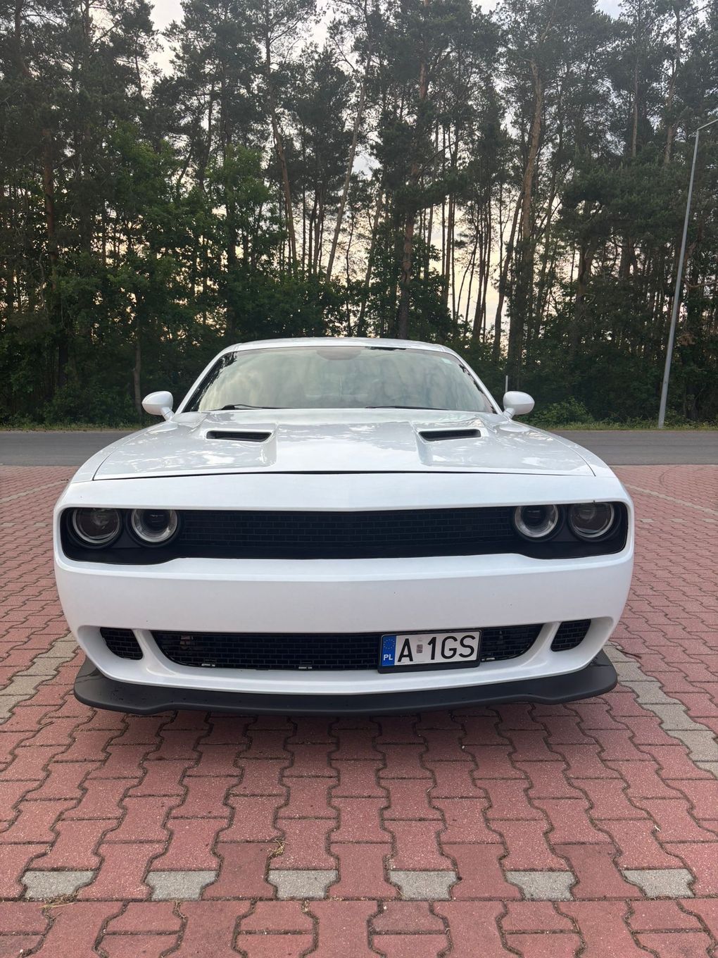 Dodge Challenger Dodge Challenger 3.6 V6 SXT PLUS