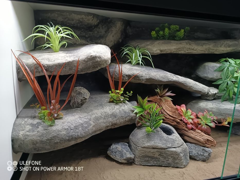 Terrarium 120x60x60 gotowe do zamieszkania