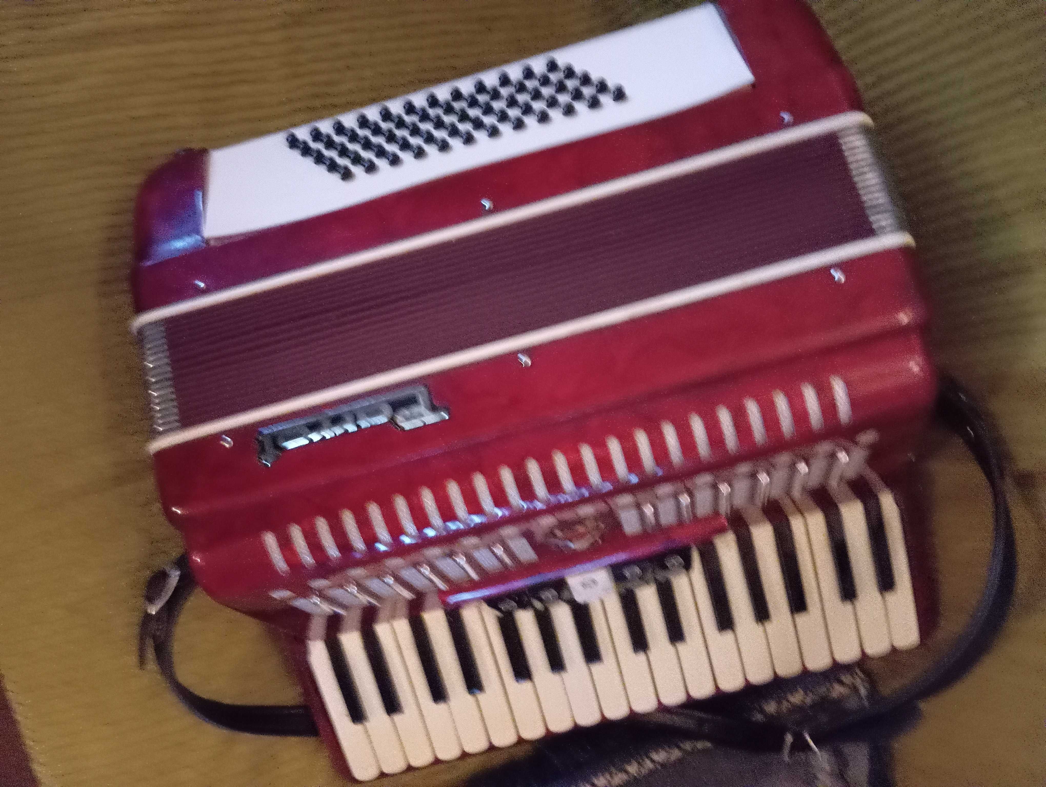 Acordeon Parrot - pouco uso