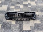 grill skoda kodiaq 16-22
