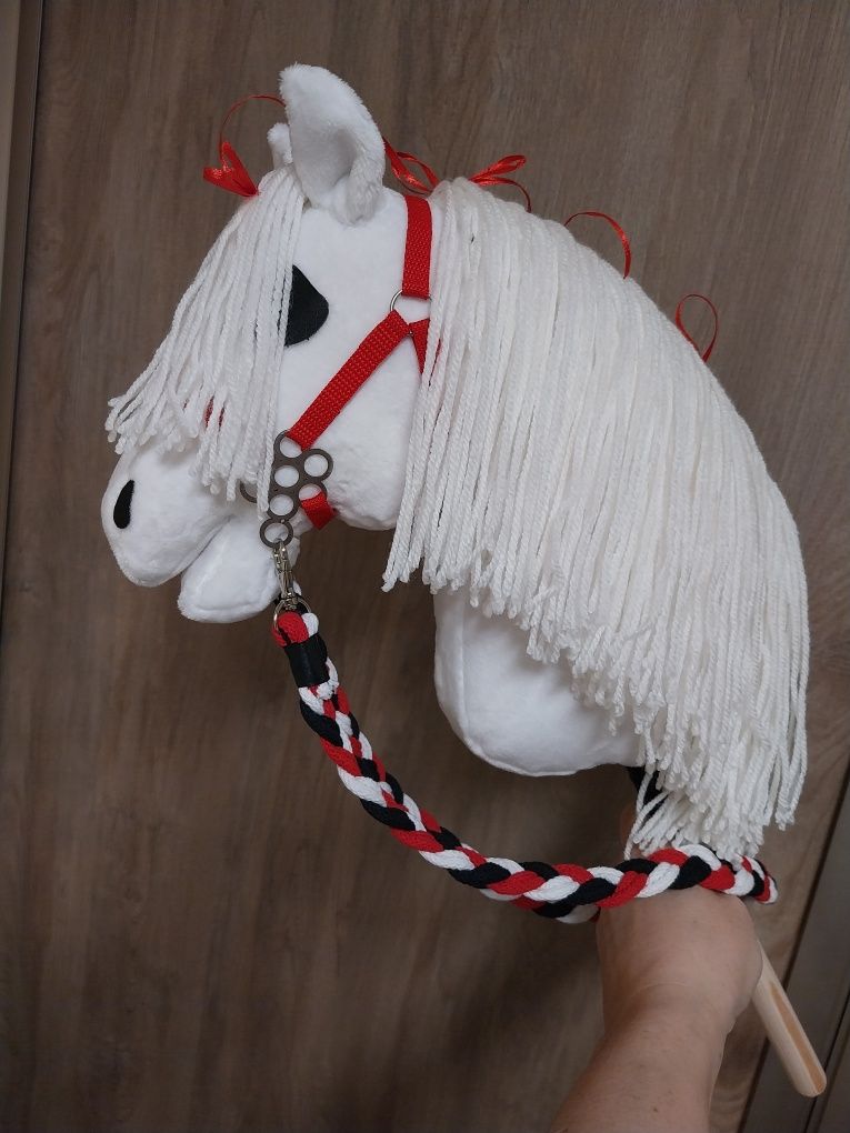 Konik hobby horse