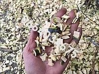 Щепоріз, дробілка, послуги подрібнення гілок