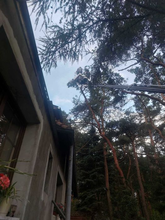 Wycinka drzew czyszczenie działek rebakowanie  przycinanie żywopłotu