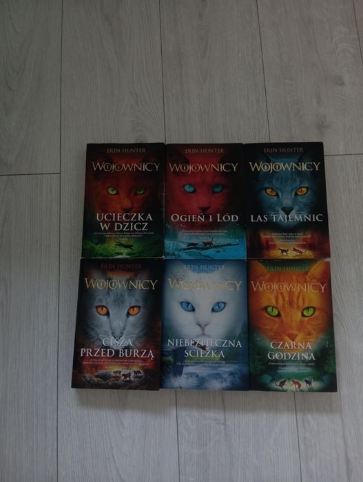 Erin Hunter 1 seria