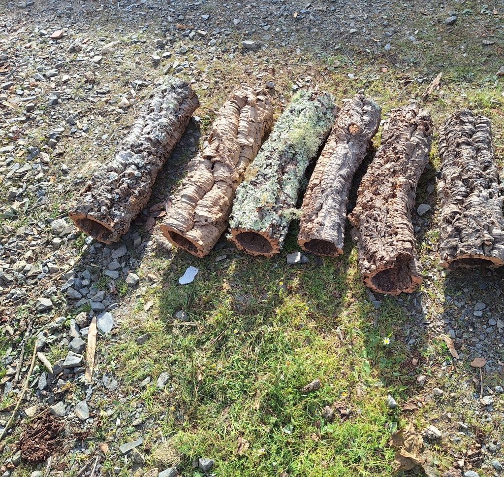 TUBOS DE CORTIÇA NATURAL PARA TERRÁRIOS – 4,20€/kg | Pombal