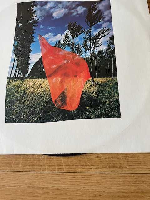 Pink Floyd - Wish you were here