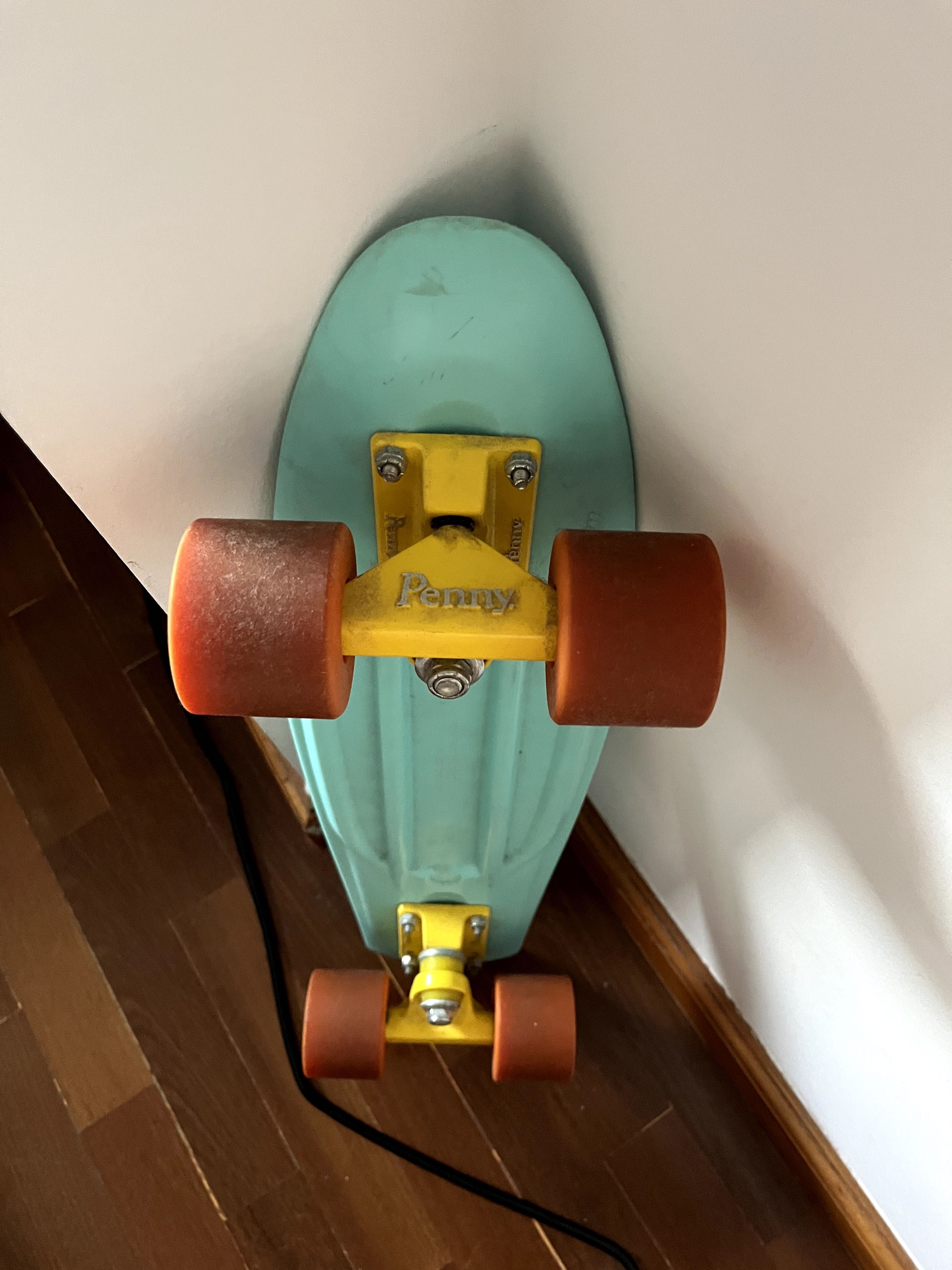Penny Board Skate 22"