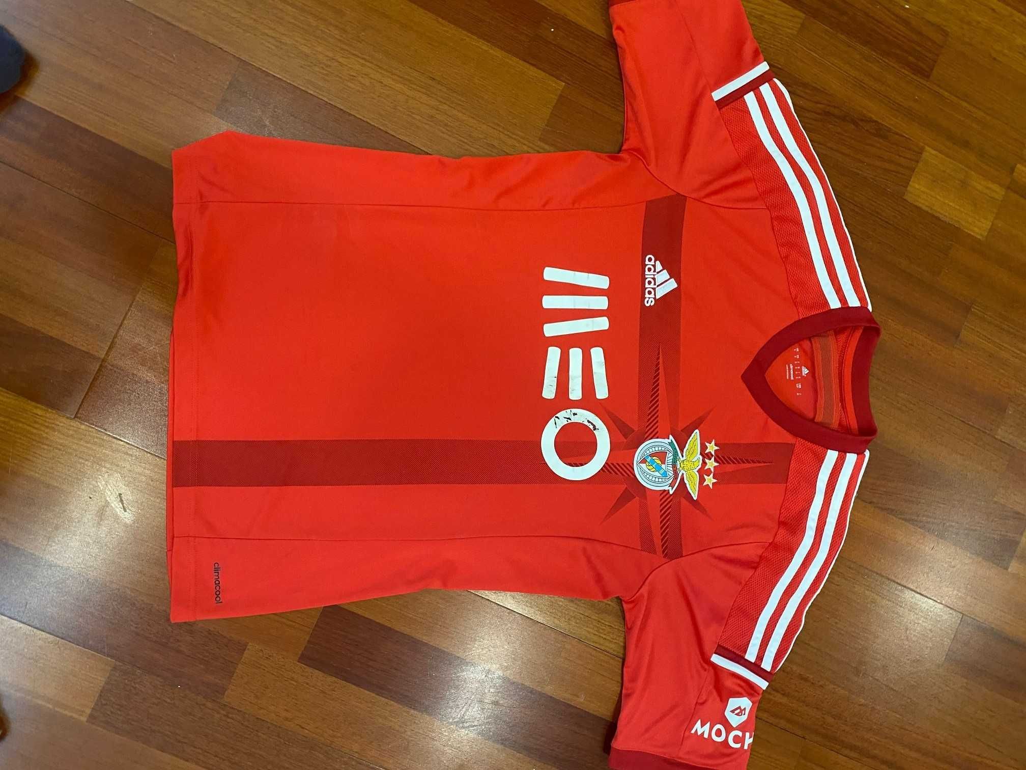 Camisola Benfica Oficial