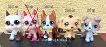 LPS pieski spaniel, dog, collie