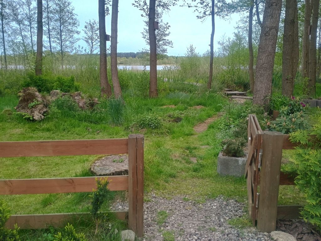 Domek letniskowy nad jeziorem, morzem do wynajęcia Sauna, gorącą Balia